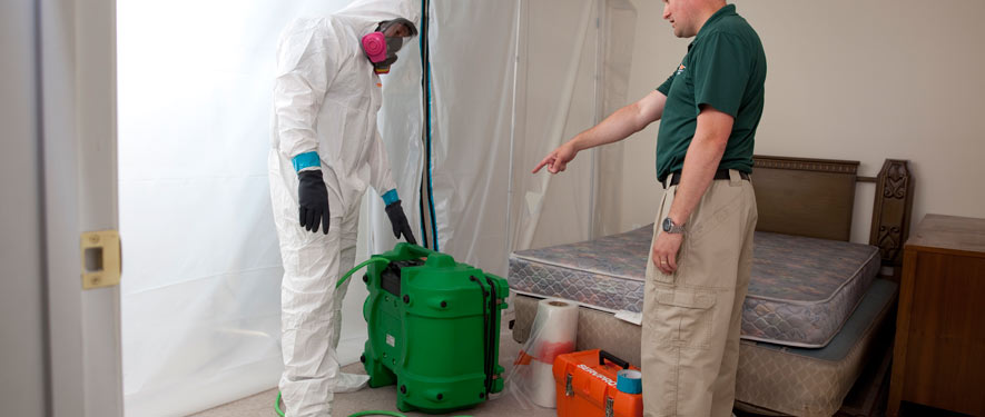 Crestview, FL mold removal process