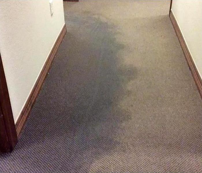 water damaged carpet with wet spot